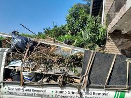 Best Demolition Debris Removal  in Lewisburg, TN