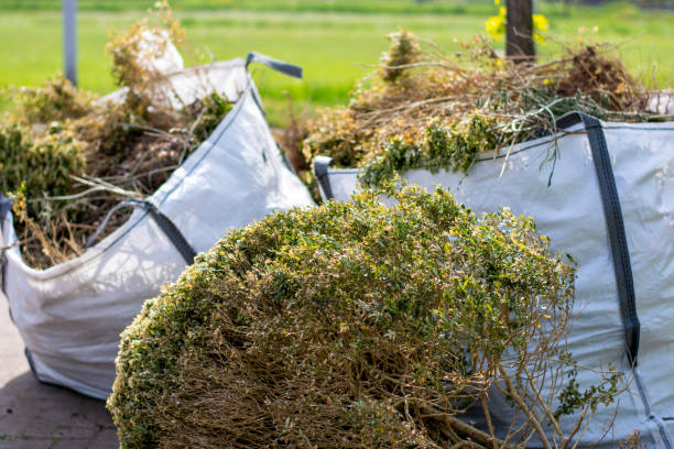 Reliable Lewisburg, TN Junk Removal Services Solutions