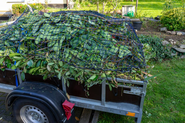 Best Hoarding Cleanup  in Lewisburg, TN